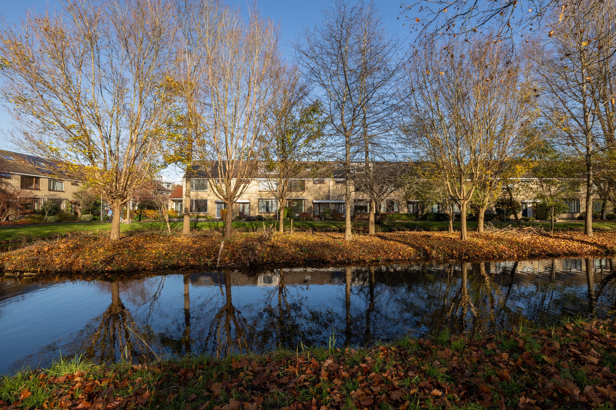 Photo 57 of Woudestein 13