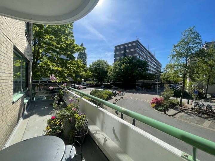 Rondeel 12 main image