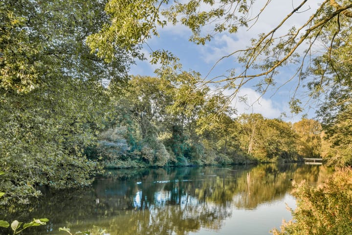 Photo 24 of Rondeel 12