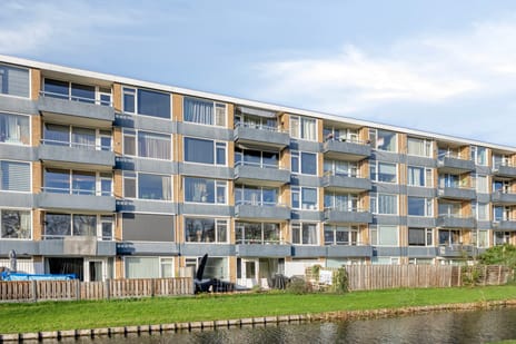 Zonnebloemstraat thumbnail