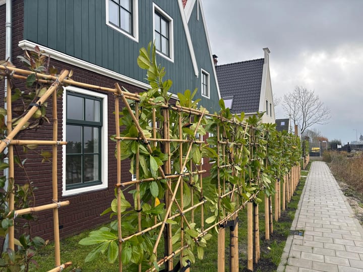 Photo 27 of Stiereveld 17