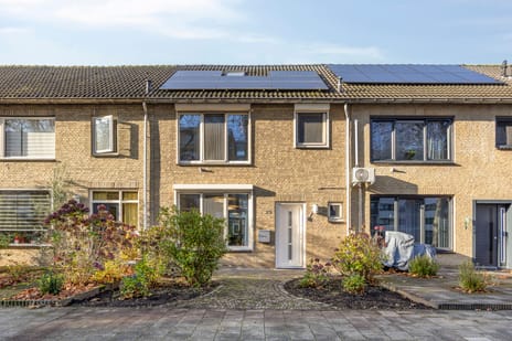 undefined main image