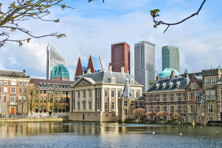 Photo 43 of Dovenetelweg 26