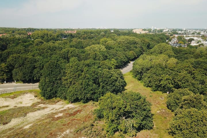 Photo 45 of Dovenetelweg 26