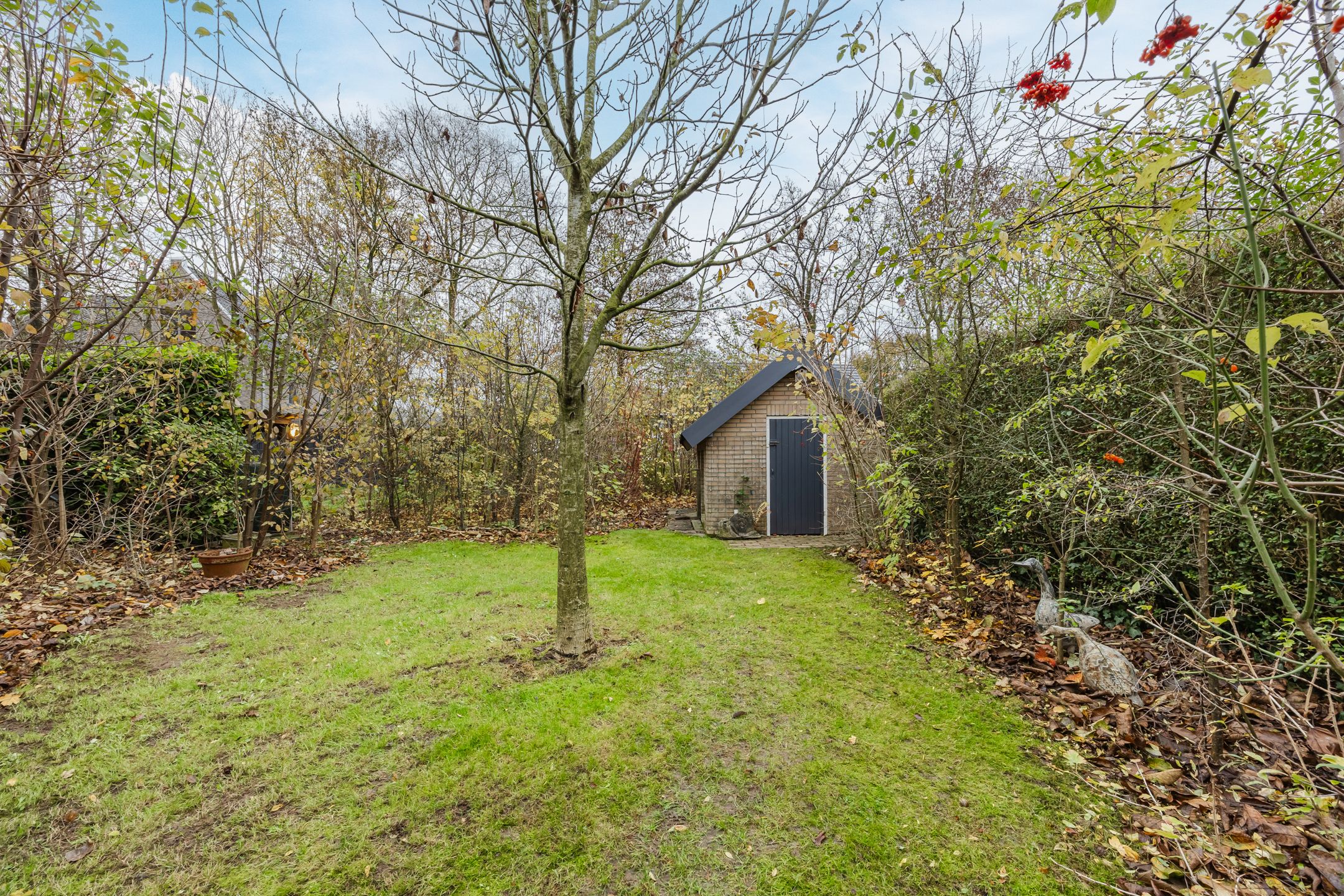 Photo 27 of Burg Thijssenstraat 27