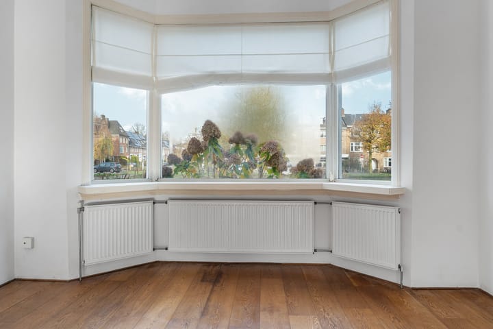 Foto 5 van Johan de Wittlaan 80