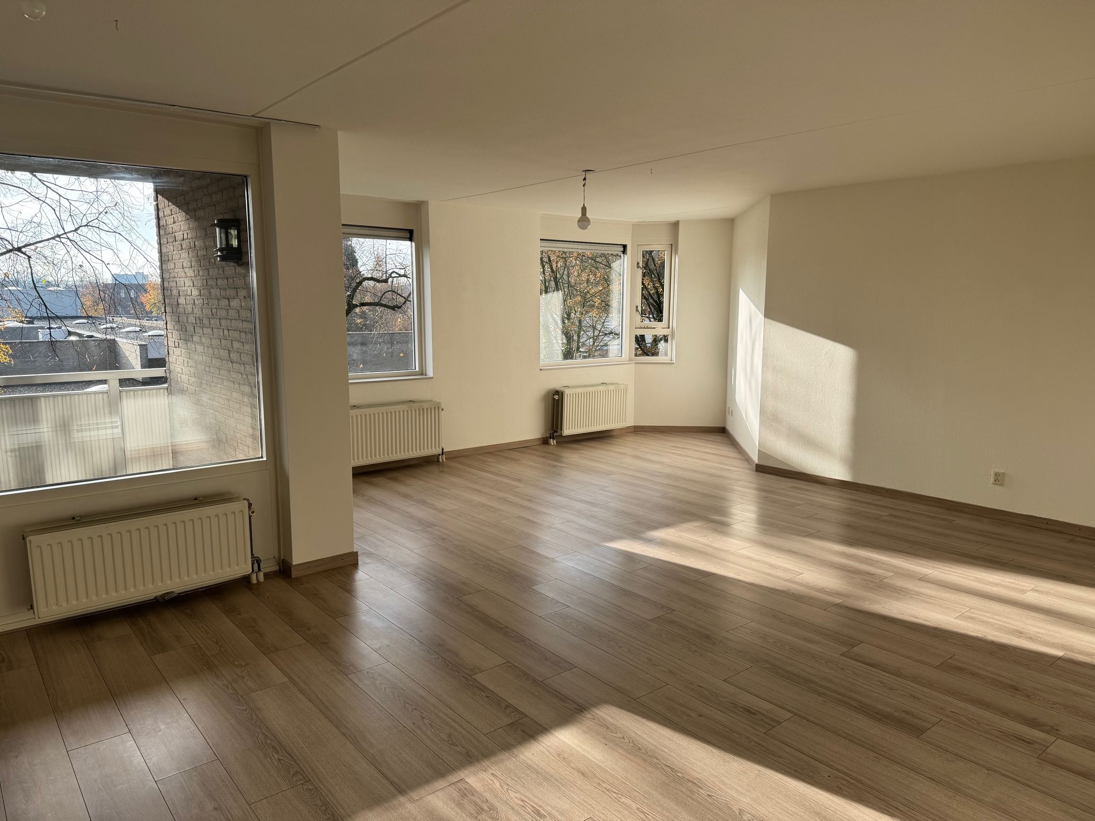 Photo 3 of Bijsterveld 9