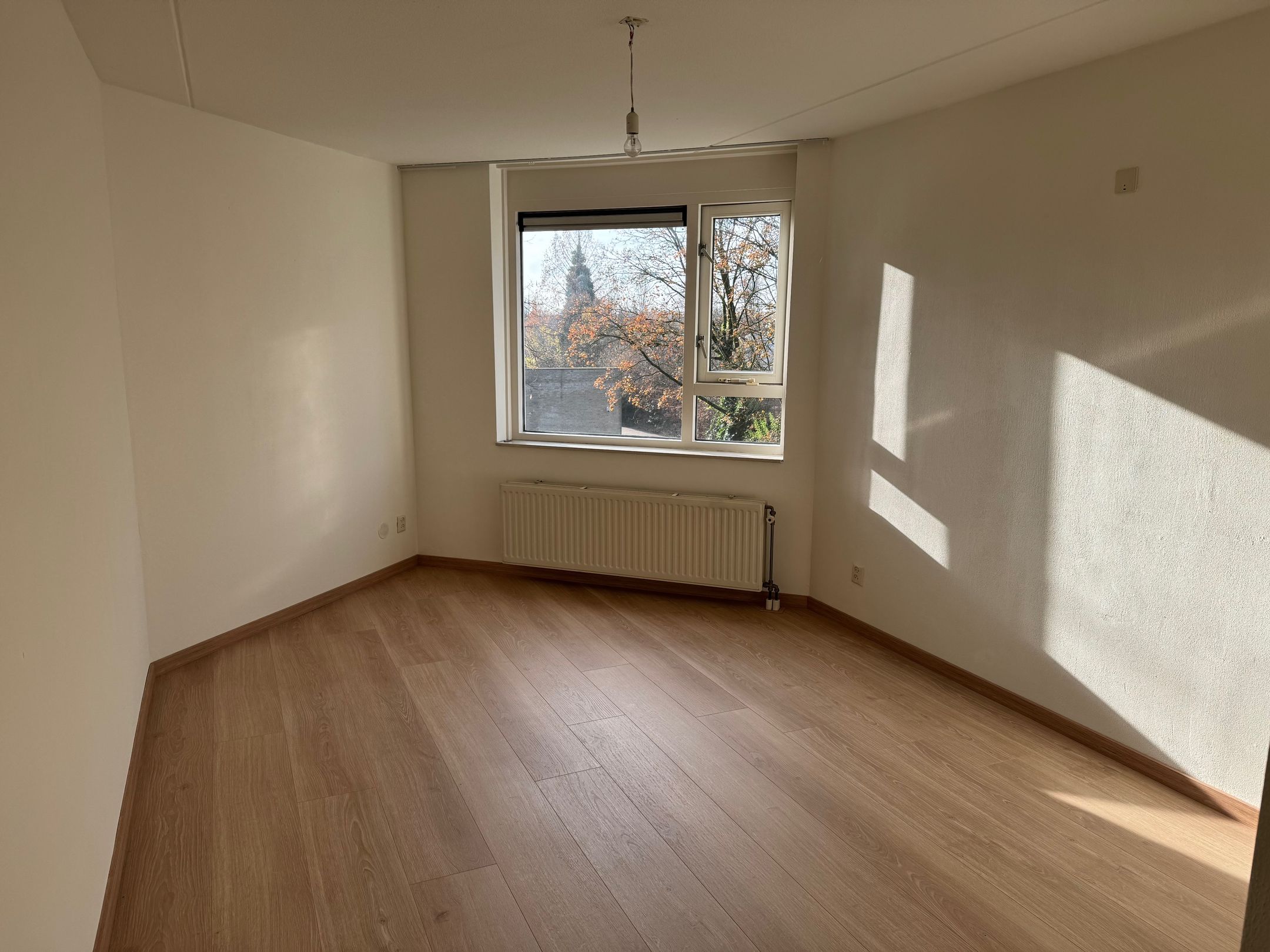 Photo 15 of Bijsterveld 9