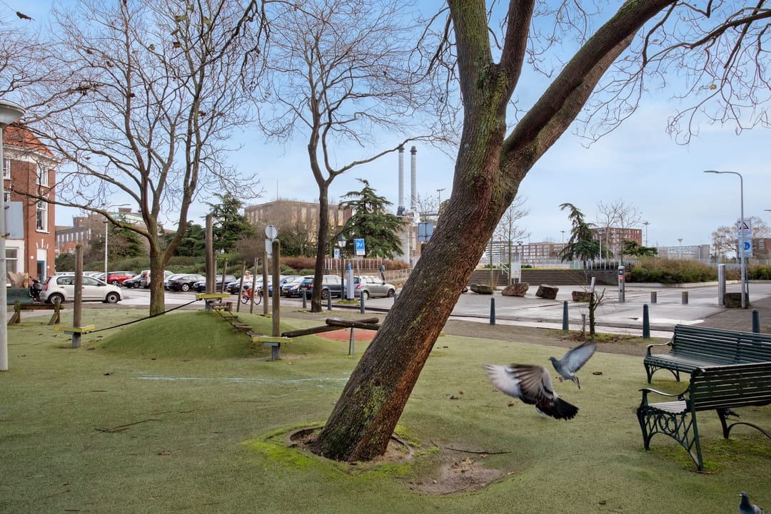 Foto 28 van Gaslaan 244