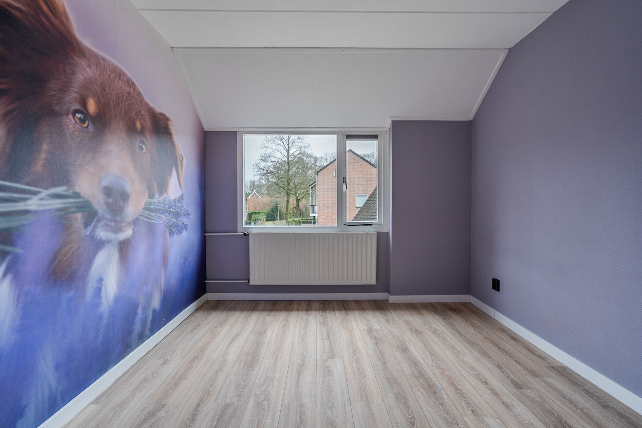 Foto 24 van Rauwland 56