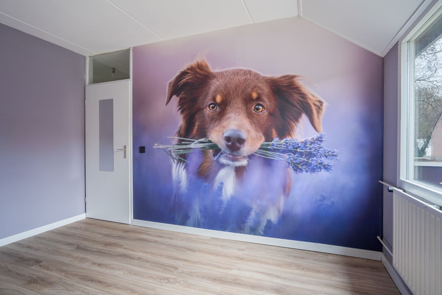 Foto 25 van Rauwland 56