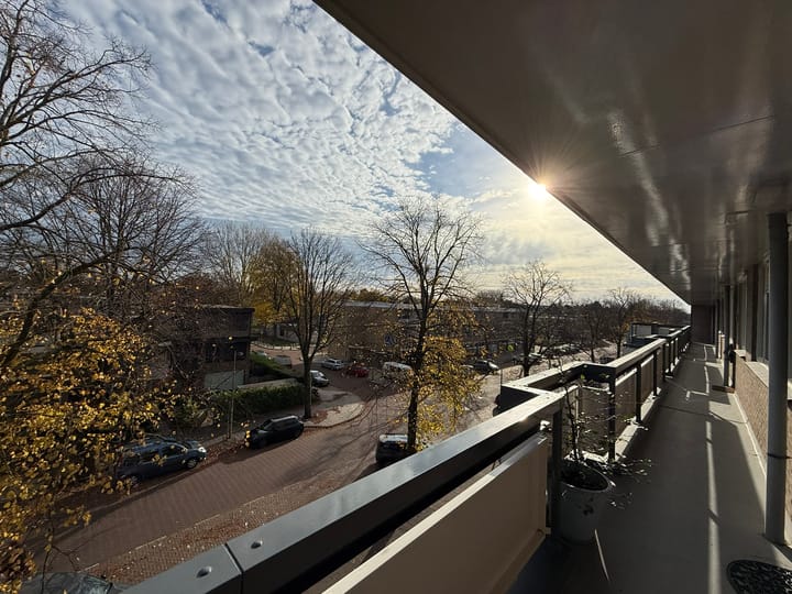 Foto 2 van Bolestein 198