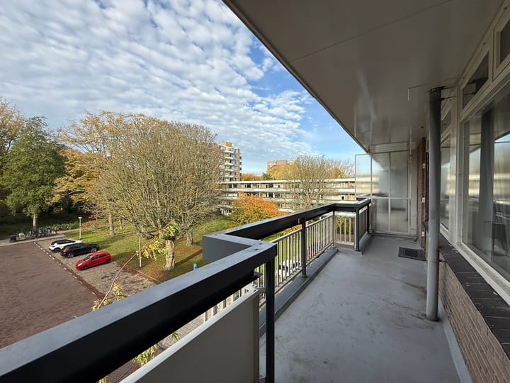 Photo 10 of Bolestein 198