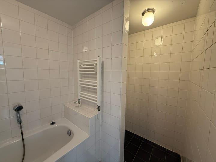 Photo 18 of Bolestein 198