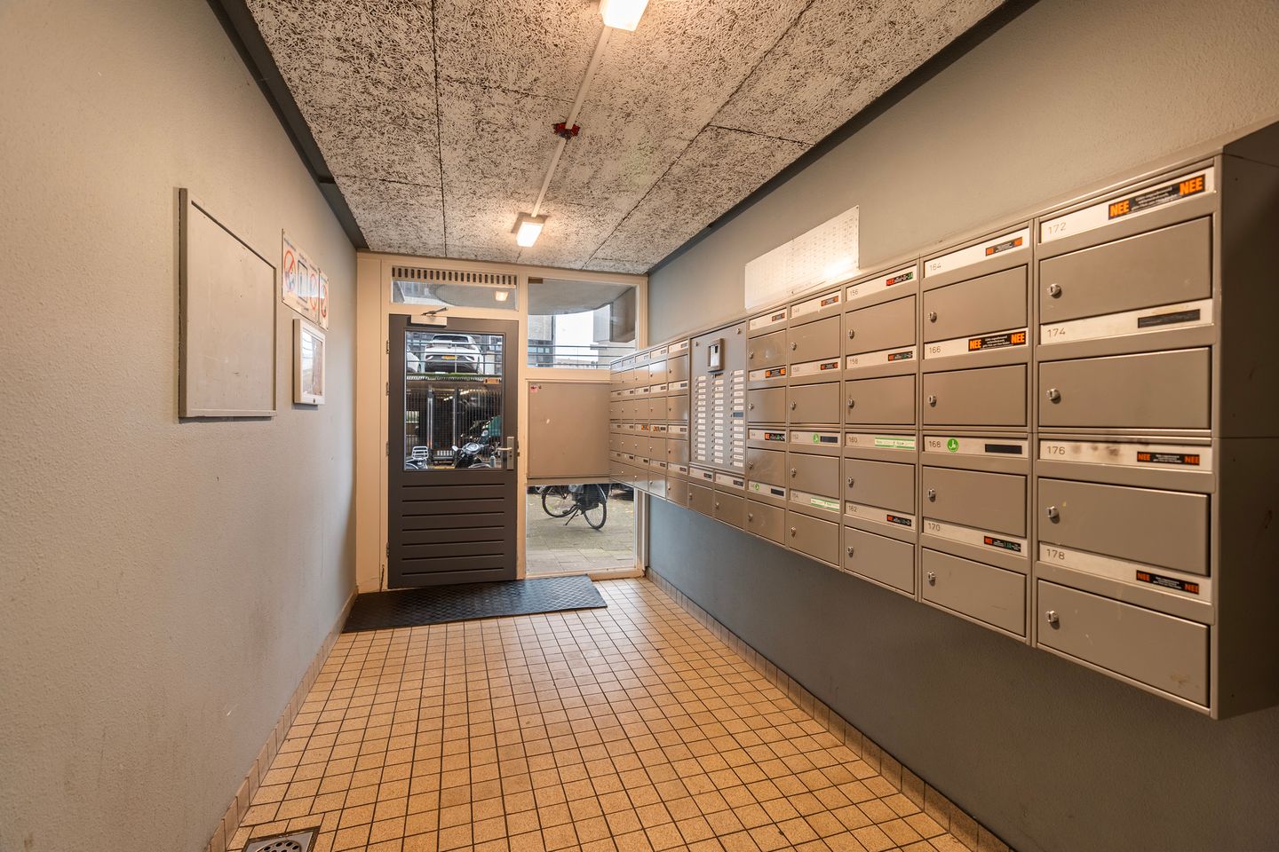 Foto 20 van Papegaaistraat 176