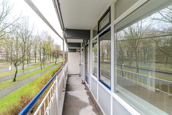 Photo 15 of Herman Gorterhof 31