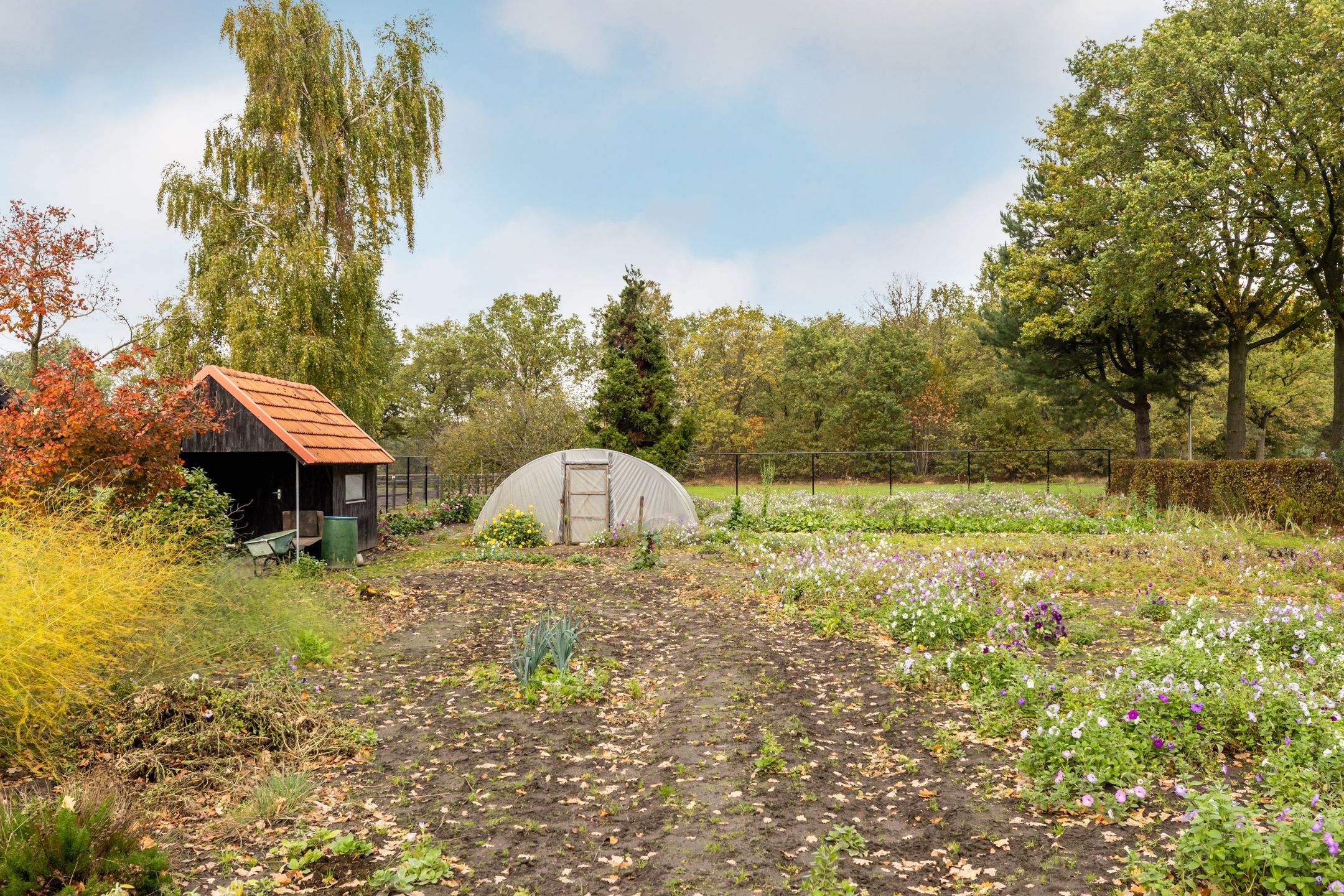 Photo 33 of Ettensebaan 17