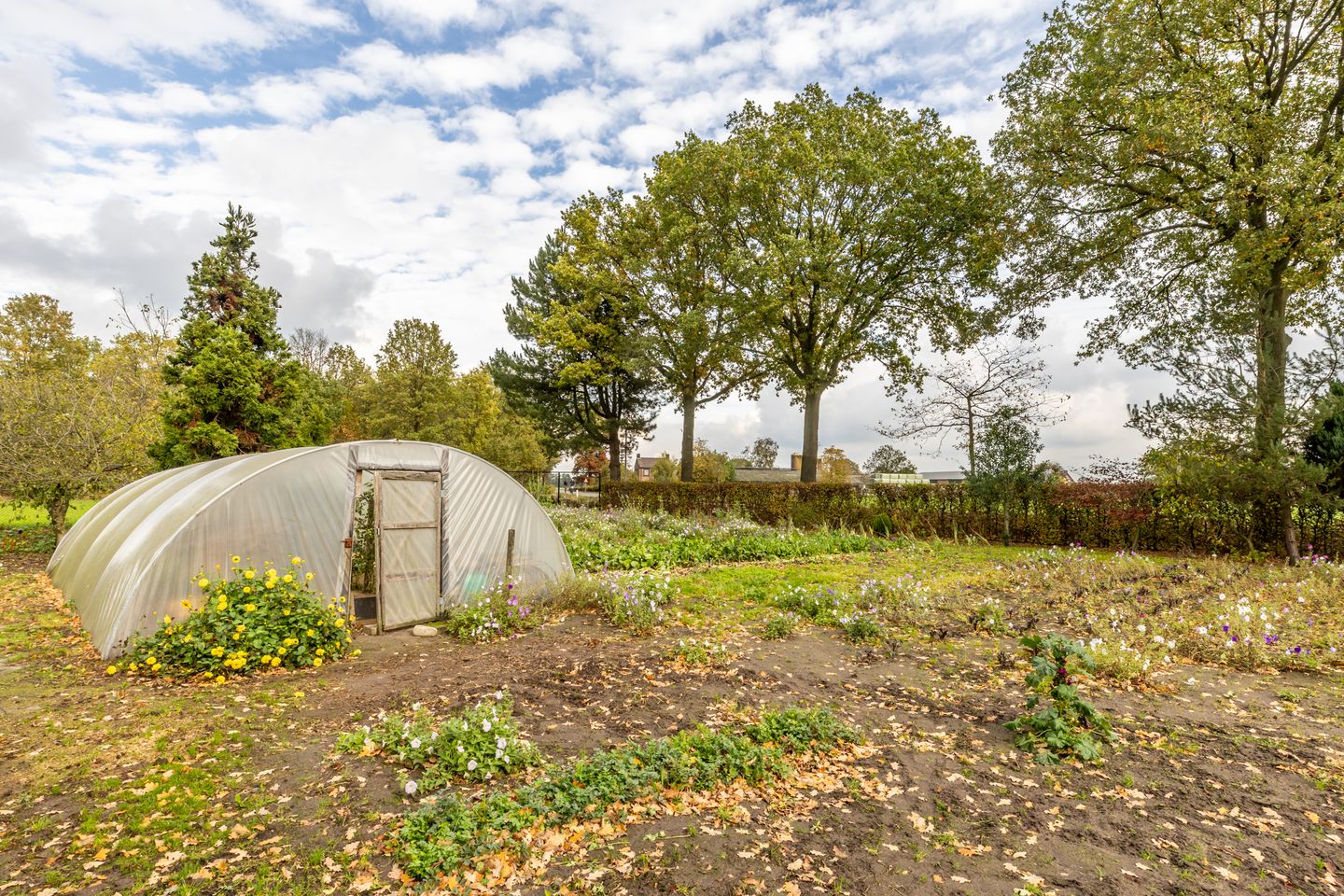 Photo 44 of Ettensebaan 17