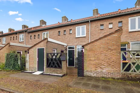 undefined main image