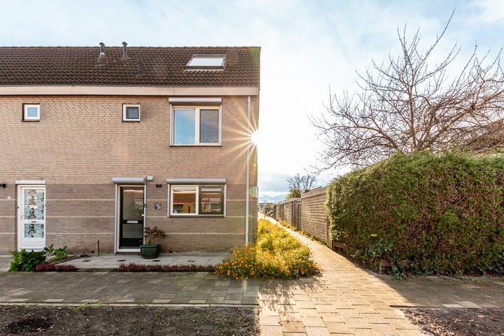 Foto 4 van Rubinsteinpad 31