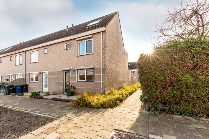 Foto 4 van Rubinsteinpad 31