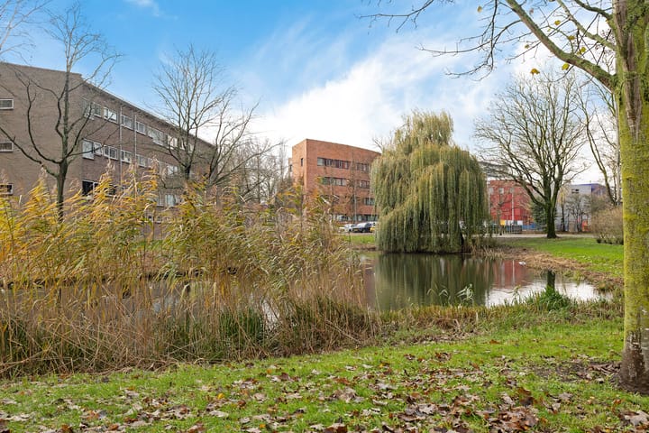 Photo 44 of Henry Dunantlaan 59