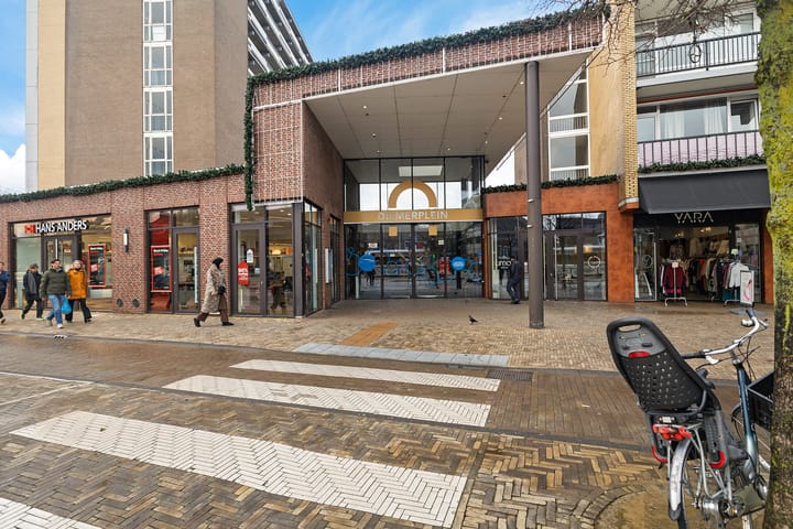 Photo 45 of Henry Dunantlaan 59