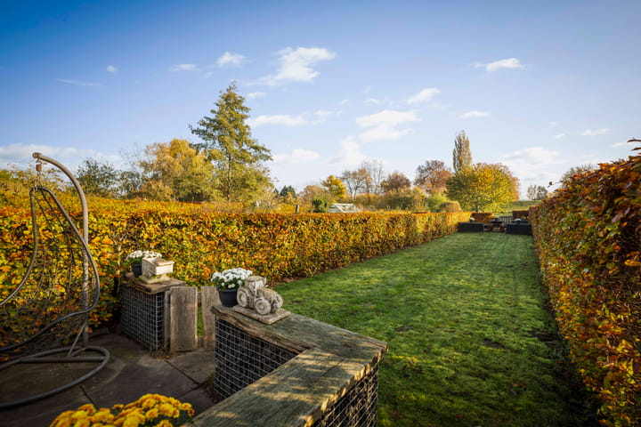 Photo 29 of Bandijk 59