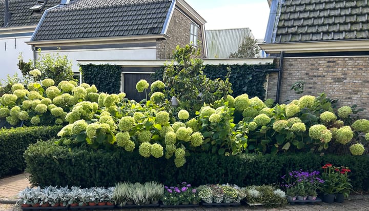 Foto 58 van Dorpstraat 60