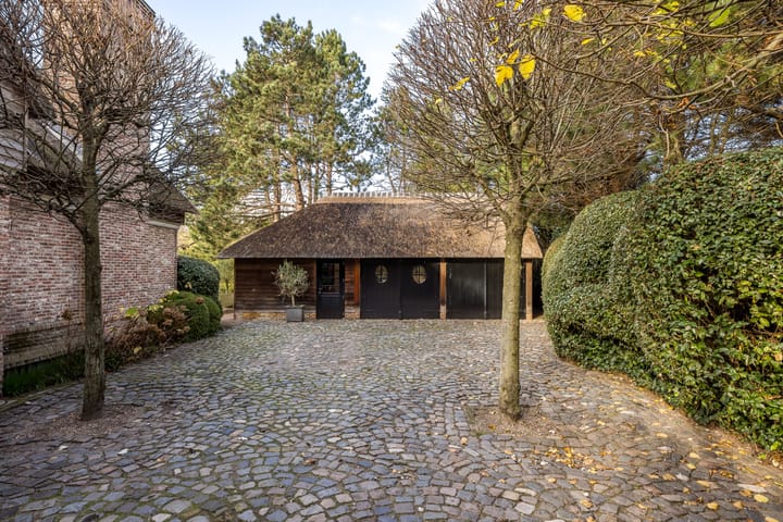 Photo 54 of Van Bergenlaan 1