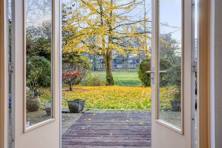 Photo 40 of Rumpte 14