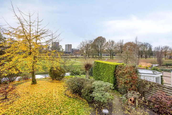 Photo 41 of Rumpte 14