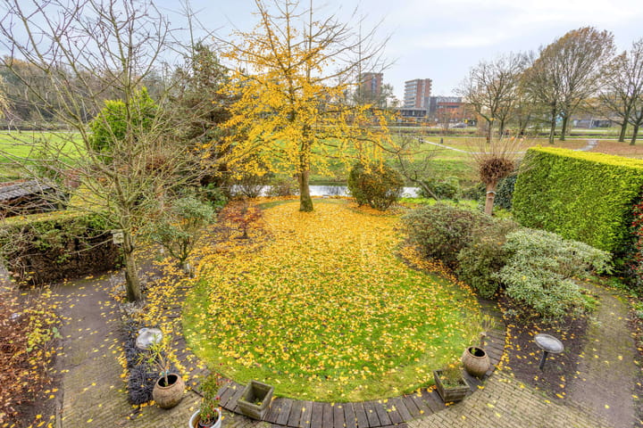 Photo 42 of Rumpte 14