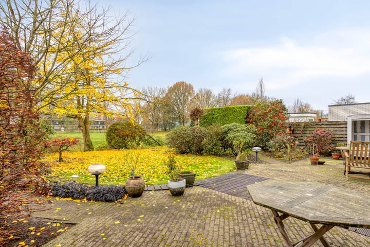 Photo 43 of Rumpte 14