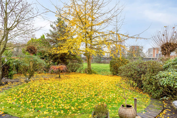 Photo 44 of Rumpte 14