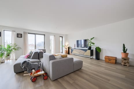 Iseldoks 169 tertiary image