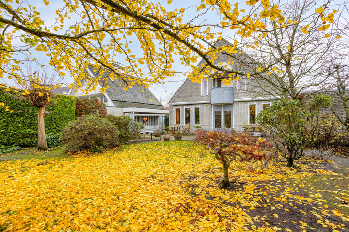 Photo 46 of Rumpte 14