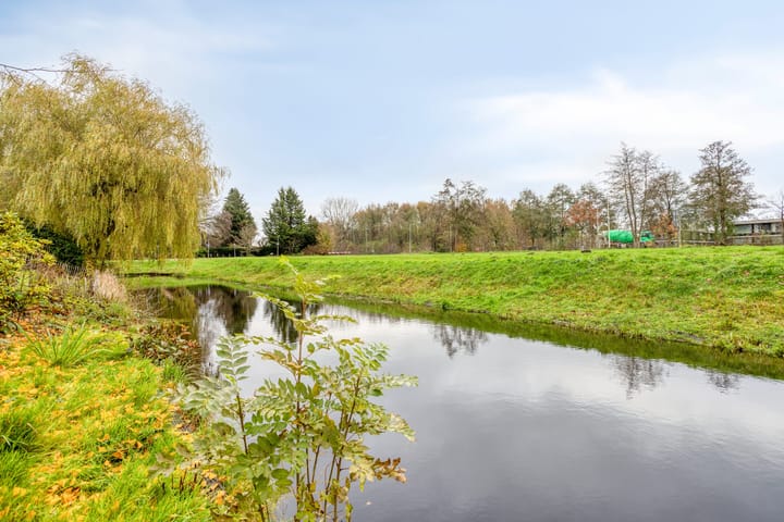 Photo 53 of Rumpte 14