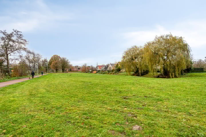 Photo 54 of Rumpte 14