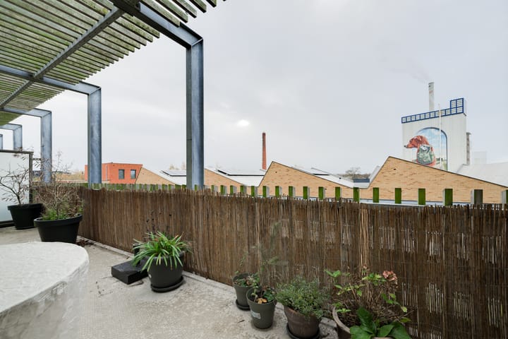 Foto 36 van Iseldoks 169