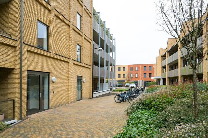 Foto 54 van Iseldoks 169