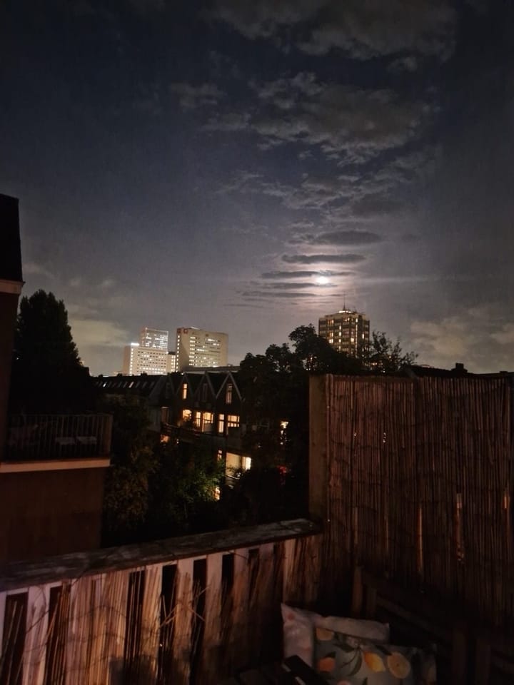 Foto 50 van Heemraadssingel 284-A