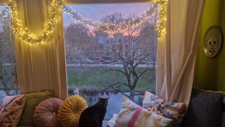 Foto 61 van Heemraadssingel 284-A