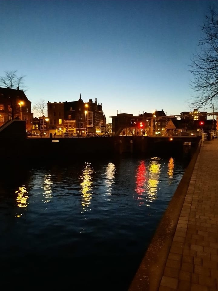 Foto 96 van Heemraadssingel 284-A