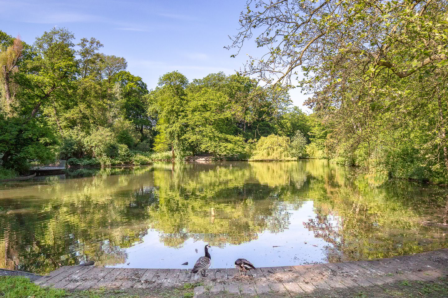 Photo 34 of Koppestokstraat 37