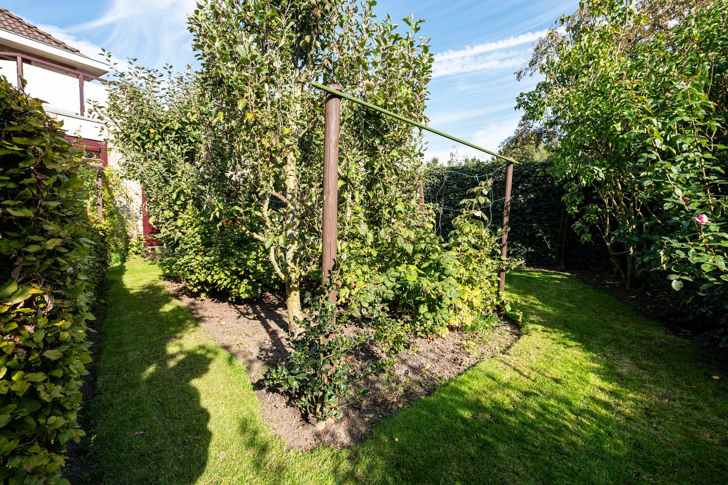 Photo 35 of Johan de Meesterhove 9