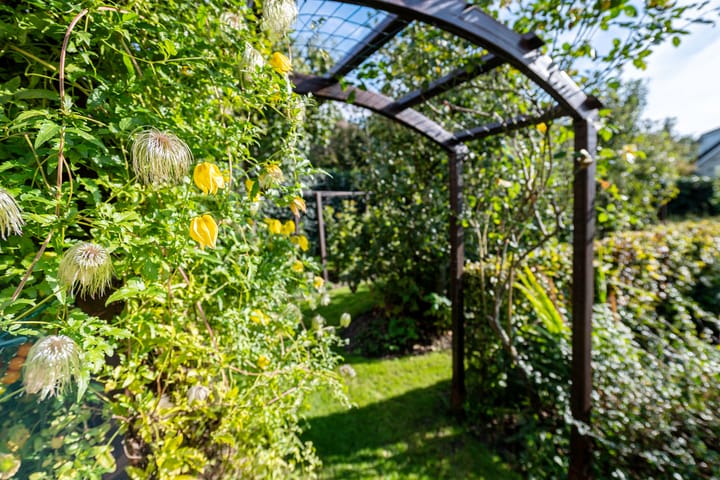 Photo 36 of Johan de Meesterhove 9