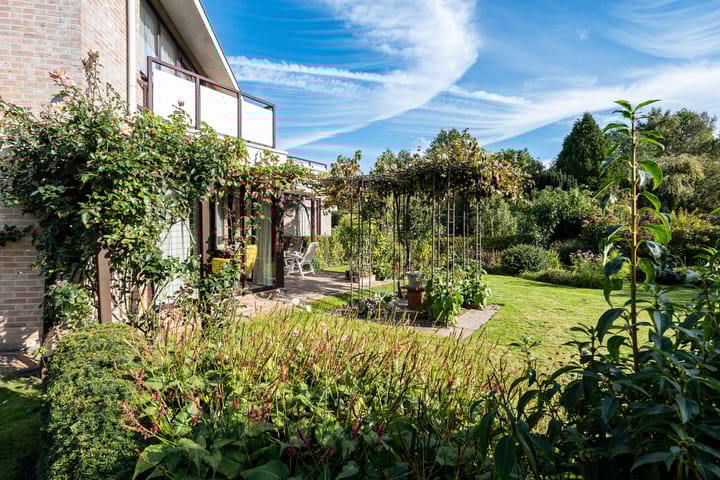 Photo 37 of Johan de Meesterhove 9