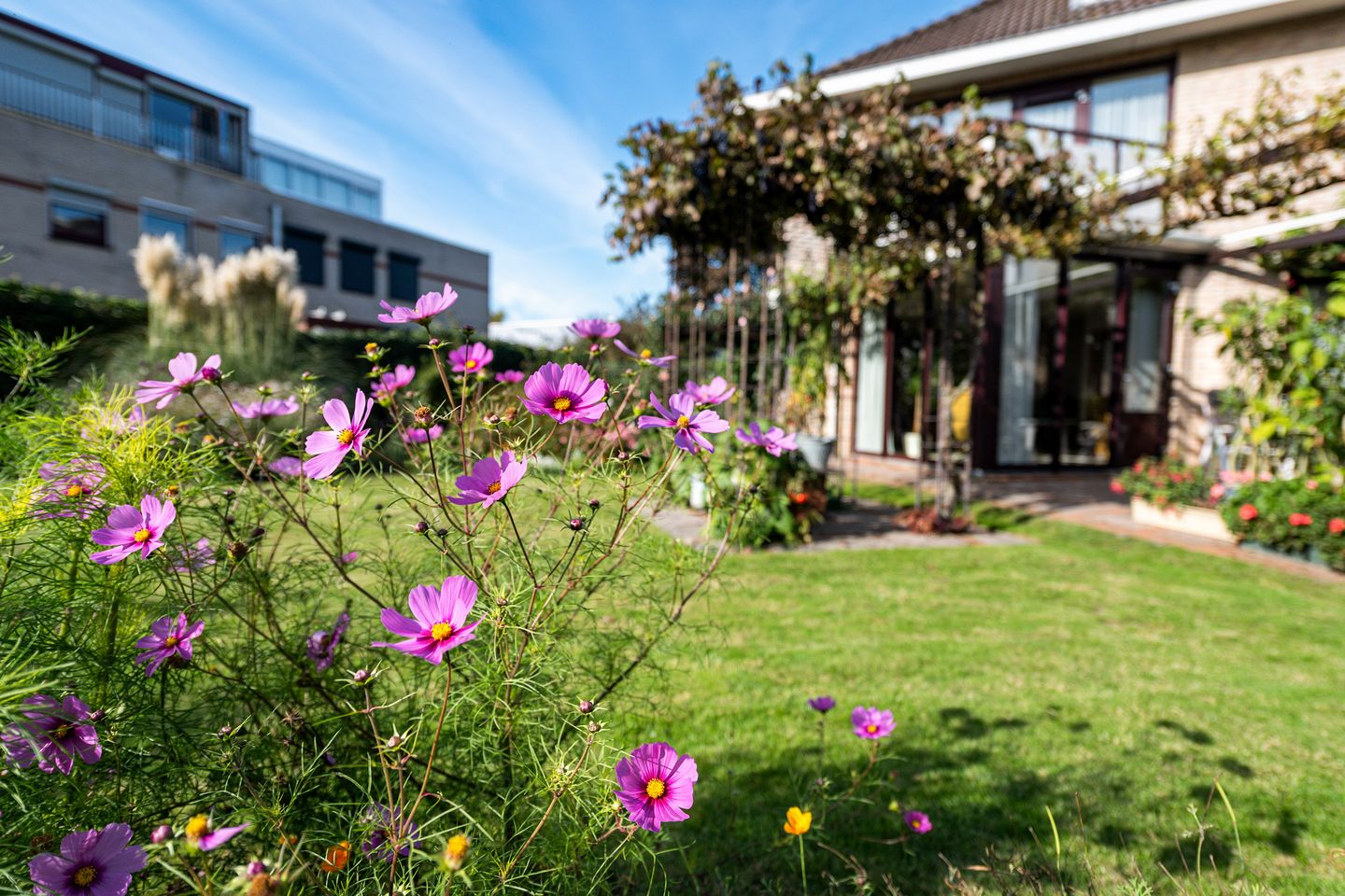 Photo 40 of Johan de Meesterhove 9