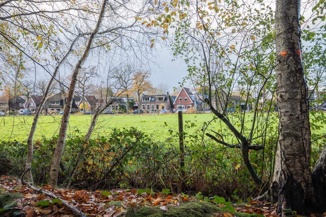 Foto 8 van Broeklaan 24